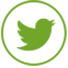 Twitter Icon